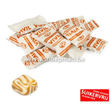 VIVIL Caramel suikervrij - 1 kg
