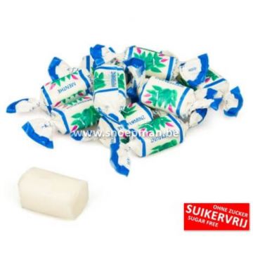 Suikervrije Mint Toffees - De Bron-1kg